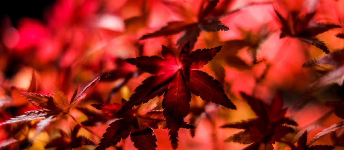 Opanować chaos - czyli jak skutecznie zarządzać pocztą w MS Outlook